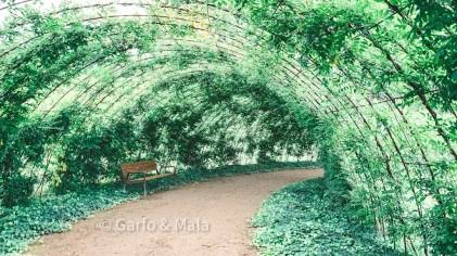 Túnel de Glicínias