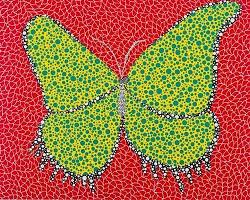 Butterfly (Borboleta)