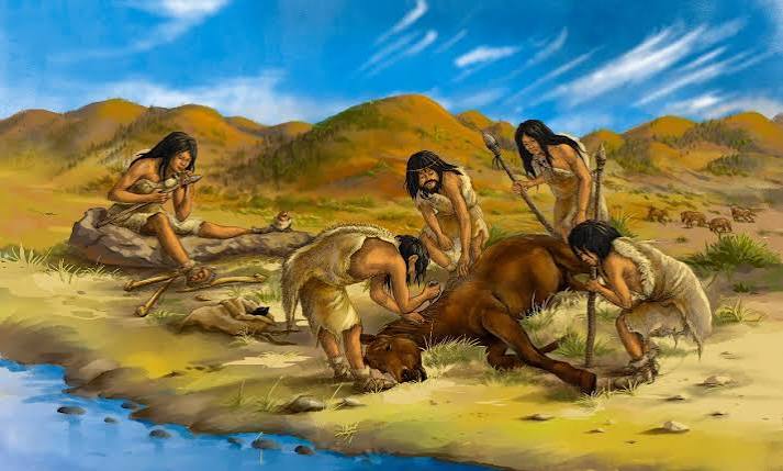 Homo Naledi