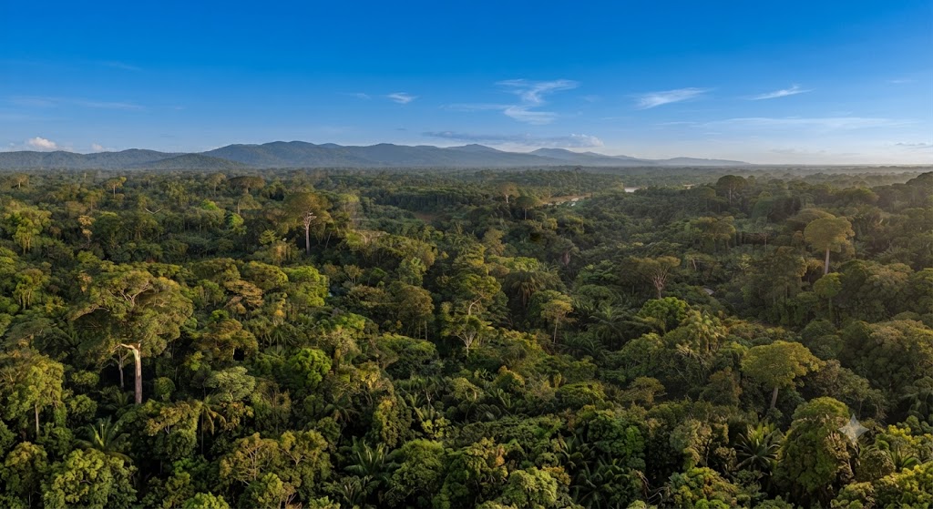Floresta de Sundalândia